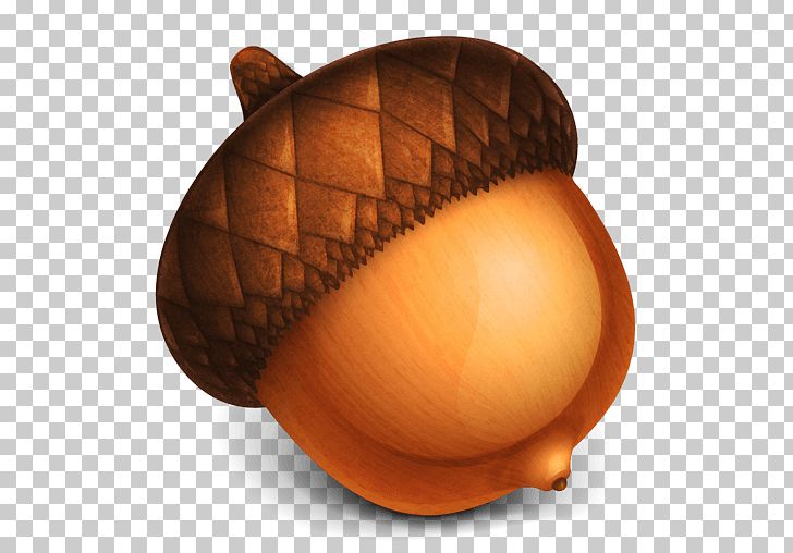 Acorn PNG, Clipart, Acorn, Acorns, Action, Clip Art, Computer Icons Free PNG Download