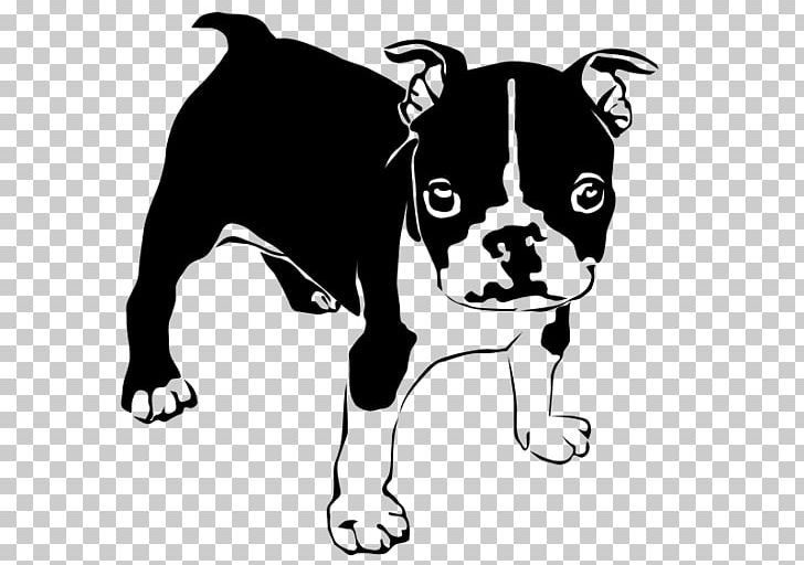 French Bulldog American Bulldog Boston Terrier Puppy PNG, Clipart, American Bulldog, Animal, Animal Rescue Group, Animals, Black Free PNG Download