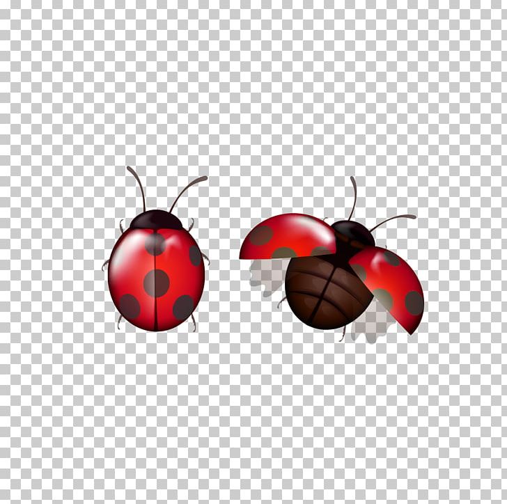 Insect Christmas Ornament Membrane PNG, Clipart, Animal, Balloon Cartoon, Boy Cartoon, Cartoon, Cartoon Character Free PNG Download
