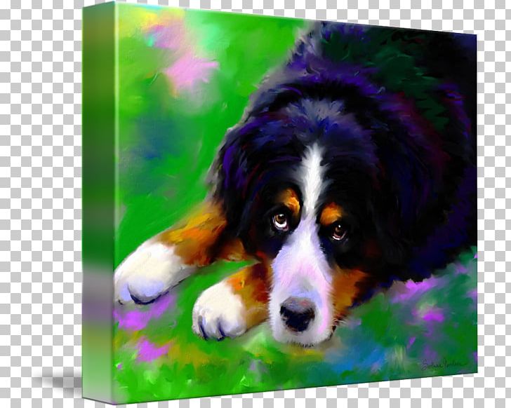 Bernese Mountain Dog Dog Breed Greater Swiss Mountain Dog Entlebucher Mountain Dog Australian Shepherd PNG, Clipart, Animals, Art, Australian Shepherd, Bernese Mountain Dog, Canvas Free PNG Download