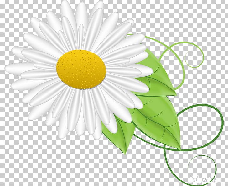 German Chamomile Animation PNG, Clipart, Camomile, Cartoon, Chamaemelum Nobile, Chamomile, Circle Free PNG Download