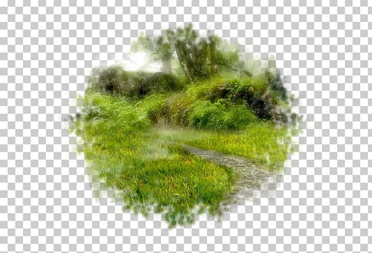 Landscape Painting Photography Photographic Studio PNG, Clipart, Bank, Blog, Curtain, Diary, Ecosystem Free PNG Download