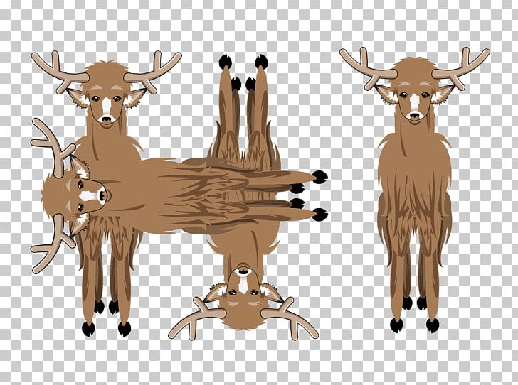 Reindeer Cattle Antler Cartoon Wildlife PNG, Clipart, Antler, Cartoon, Cattle, Cattle Like Mammal, Deer Free PNG Download