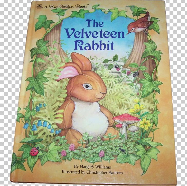 The Velveteen Rabbit The Whispering Rabbit The Tale Of Peter Rabbit Little Cottontail PNG, Clipart, Cottontail Rabbit, The Tale Of Peter Rabbit, The Velveteen Rabbit, Whispering Free PNG Download