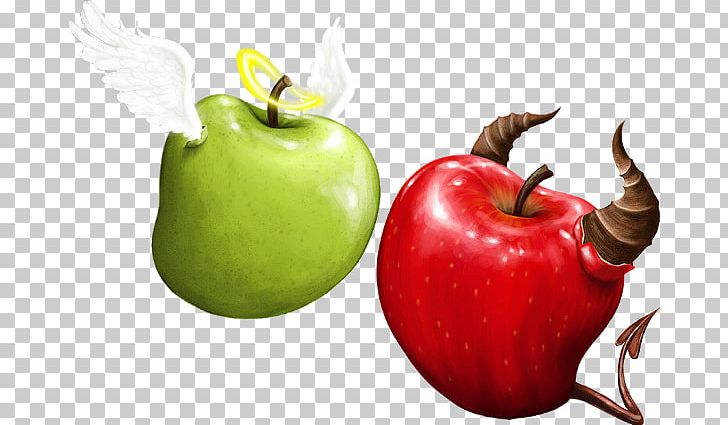Budva PNG, Clipart, Apple, Apple Fruit, Apple Logo, Apple Tree, Art Free PNG Download