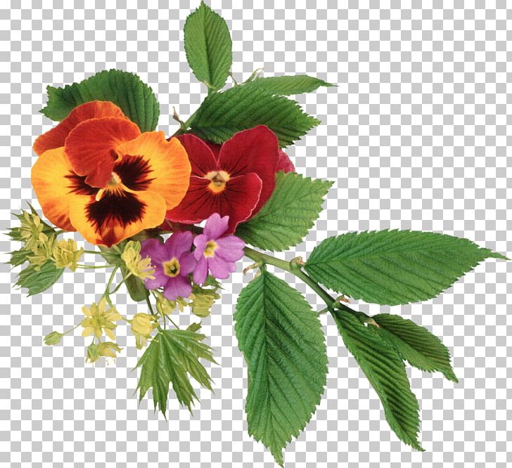 Pansy Flower Bouquet PNG, Clipart, Cartoon, Cartoon Flowers, Cut Flowers, Element, Encapsulated Postscript Free PNG Download