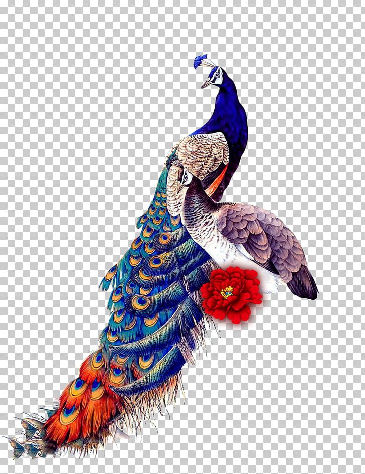 Peafowl Bird IPad Mini Samsung Galaxy J7 Glass PNG, Clipart, Animals, Art, Asiatic Peafowl, Beak, Bird Free PNG Download
