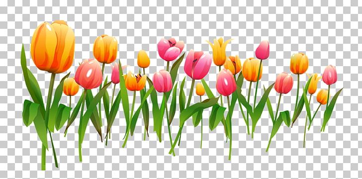 Tulip Flower Computer File PNG, Clipart, Computer Wallpaper, Cut Flowers, Download, Encapsulated Postscript, Floral Design Free PNG Download