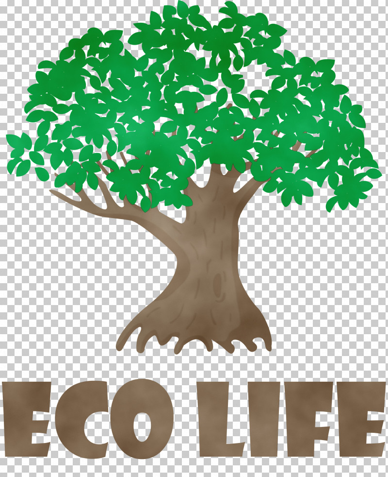 Leaf Tree Green Meter Flowerpot PNG, Clipart, Behavior, Biology, Branching, Eco, Flowerpot Free PNG Download