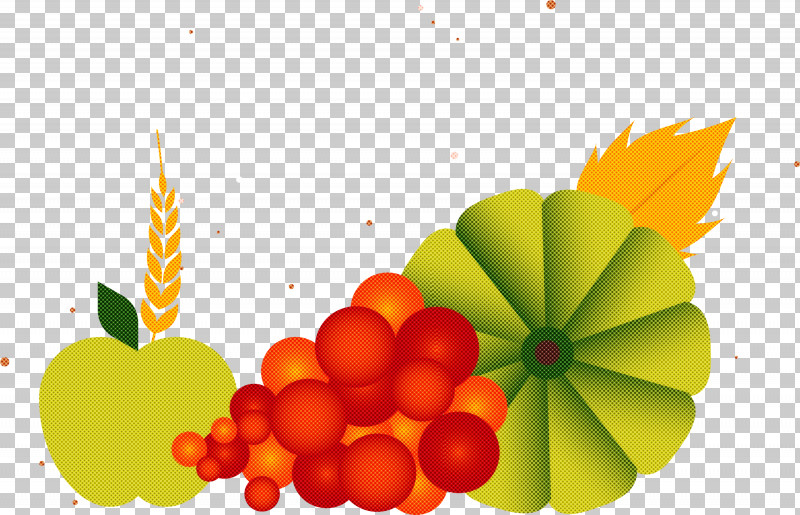 Vegetable Harvest Autumn PNG, Clipart, Autumn, Carrot, Cuisine, Field Pumpkin, Fruit Free PNG Download