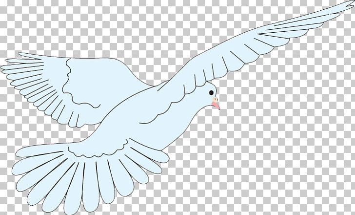 Beak Paper Bird Goose Duck PNG, Clipart, Anatidae, Animals, Beak, Bird, Blue Free PNG Download