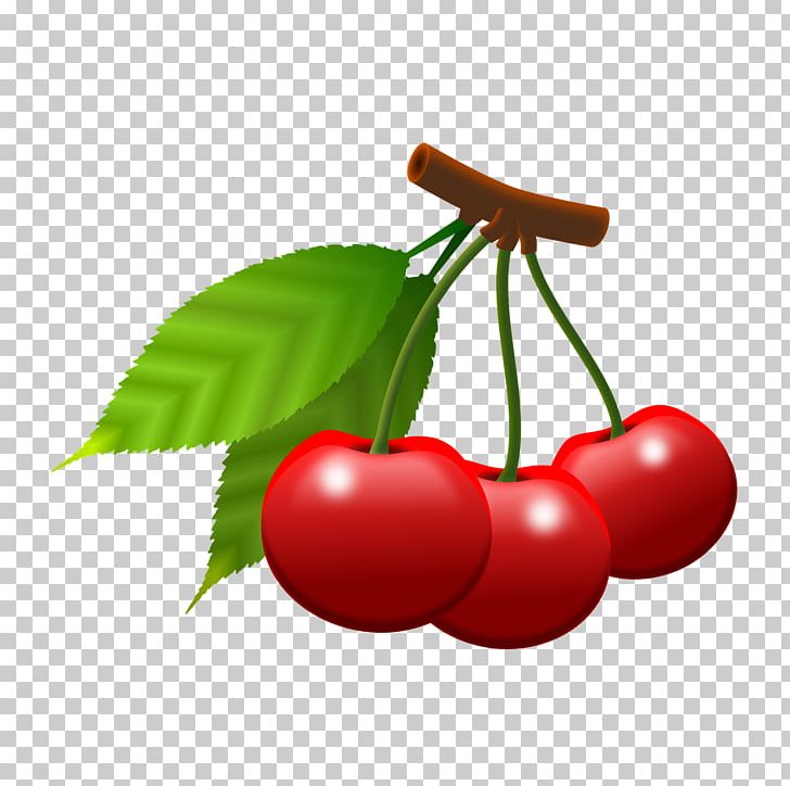 Cherry Fruit Berry PNG, Clipart, Auglis, Bebe, Berry, Cherry, Cherry Blossom Free PNG Download