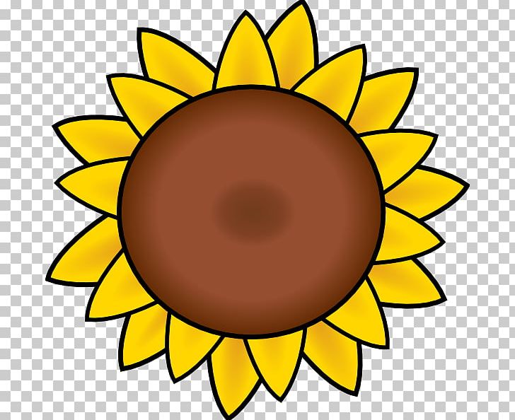 Common Sunflower PNG, Clipart, Art, Artwork, Circle, Common Sunflower, Cut Flowers Free PNG Download