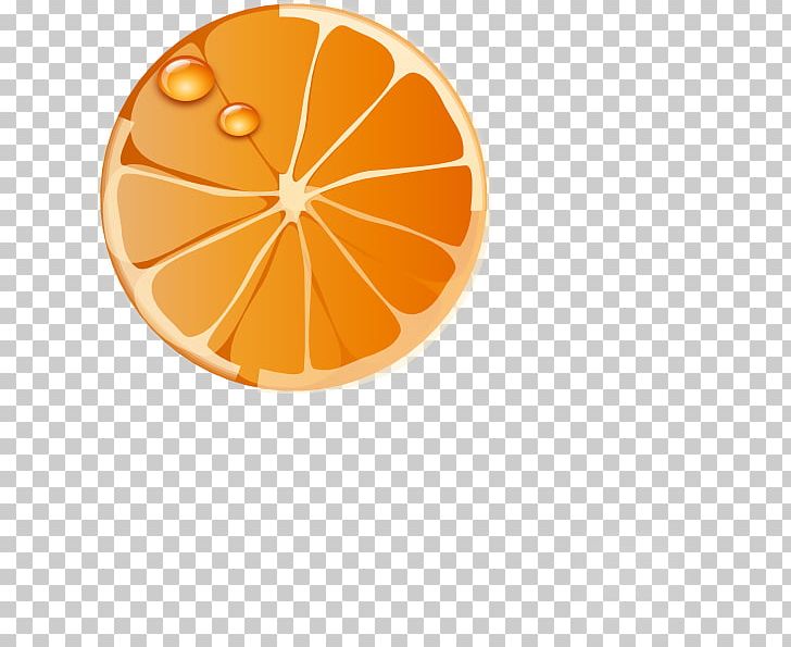 Orange Juice Orange Slice PNG, Clipart, Circle, Citrus, Desktop Wallpaper, Food, Fruit Free PNG Download