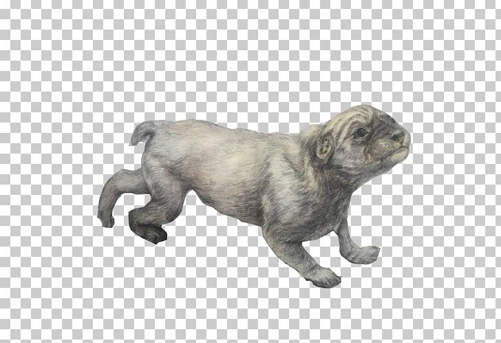 Pug Dog Breed Puppy Non-Sporting Group Drawing PNG, Clipart, Breed Group Dog, Carnivoran, Cartoon, Color Pencil, Designer Free PNG Download