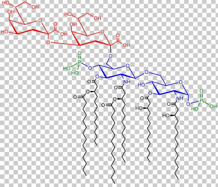 Saccharolipid Endotoxin Cerebroside Lipid A PNG, Clipart, Angle, Area, Cerebroside, Classification Des Lipides, Diagram Free PNG Download