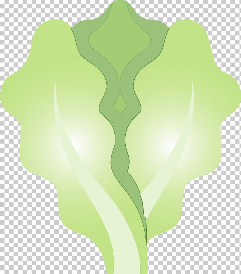 Green Leaf Plant Lettuce PNG, Clipart, Green, Leaf, Lettuce, Paint, Plant Free PNG Download