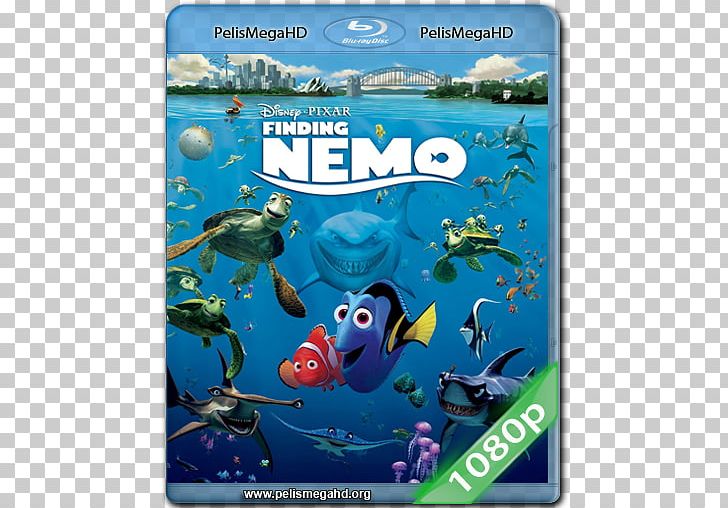 Blu-ray Disc Digital Copy DVD Finding Nemo 3D Film PNG, Clipart, 3d Film, Bluray Disc, Compact Disc, Digital Copy, Disney Digital 3d Free PNG Download