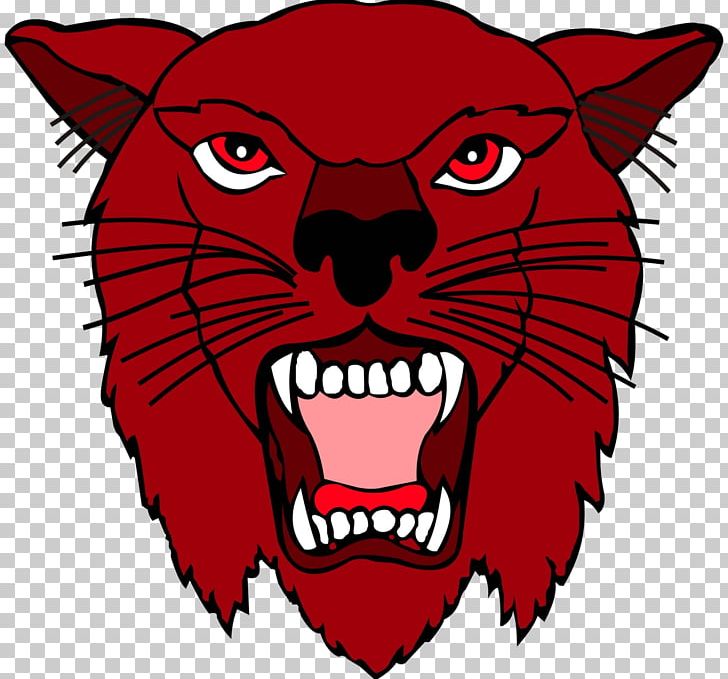 Calallen High School Arizona Wildcats Football American Football PNG, Clipart, Carnivoran, Cat Like Mammal, Dog Like Mammal, Face, Fictional Character Free PNG Download