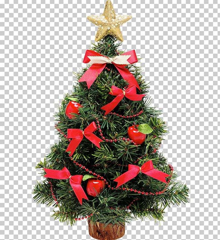 Christmas Tree Rose PNG, Clipart, Christmas, Christmas Decoration, Christmas Ornament, Christmas Tree, Conifer Free PNG Download