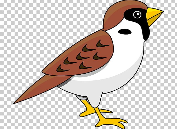 Eurasian Tree Sparrow Bird PNG, Clipart, Animal, Animals, Artwork, Beak, Bird Free PNG Download