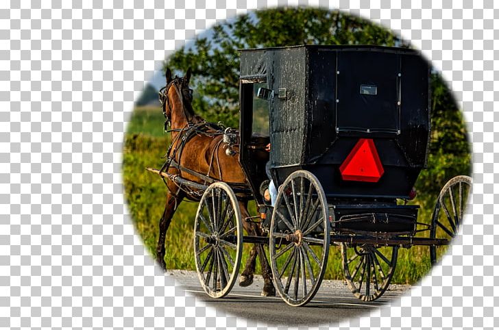 Lancaster County PNG, Clipart, Carriage, Chariot, Coachman, Crash, Driving Free PNG Download