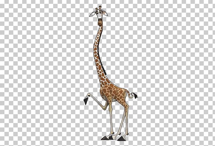 Melman Madagascar Northern Giraffe Drawing PNG, Clipart, Animal, Animal Figure, Animals, Animation, Cartoon Free PNG Download