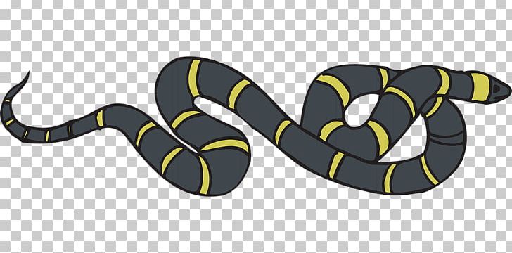 Snakes Rat Mouse Rodent Vipers PNG, Clipart, Animal, Animal Figure, Black Snake, Black Yellow, Disease Free PNG Download