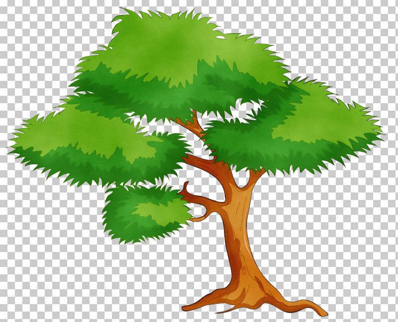 Leaf Plant Stem Tree Green Meter PNG, Clipart, Biology, Branching ...