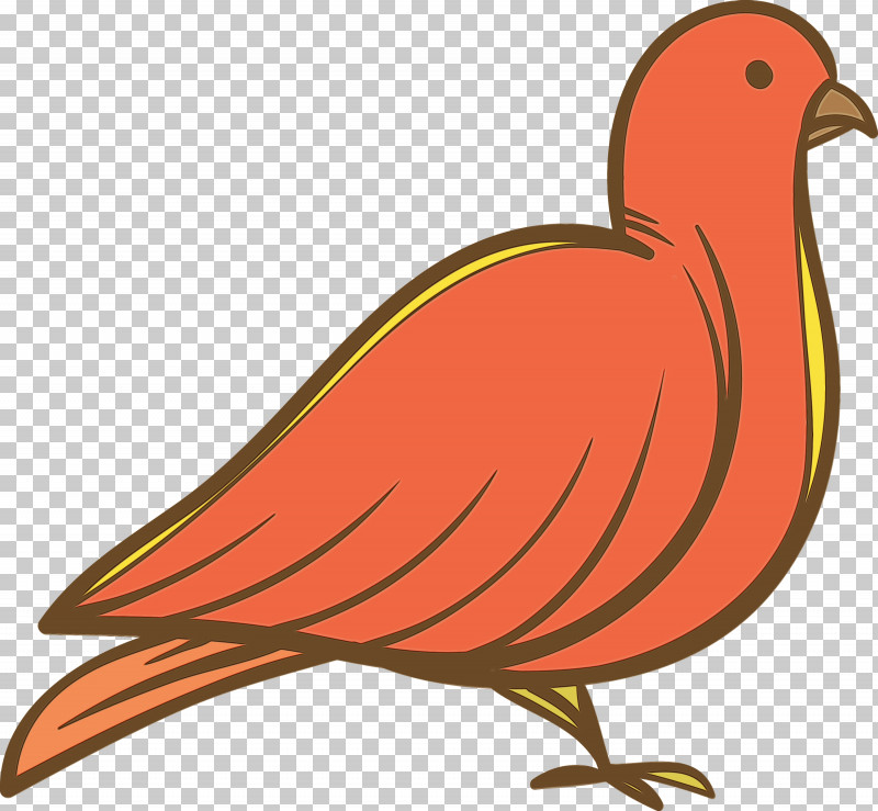 Feather PNG, Clipart, Beak, Biology, Birds, Cartoon Bird, Chicken Free PNG Download