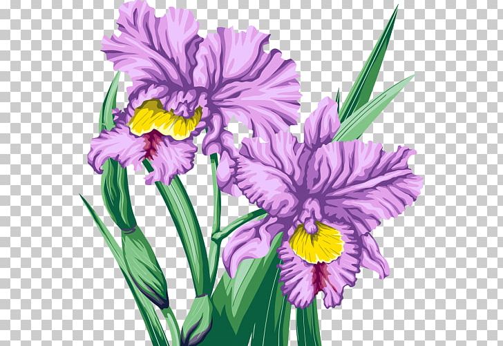 Cut Flowers Violet PNG, Clipart, Art, Cattleya, Cattleya Orchids, Cut Flowers, Desktop Wallpaper Free PNG Download
