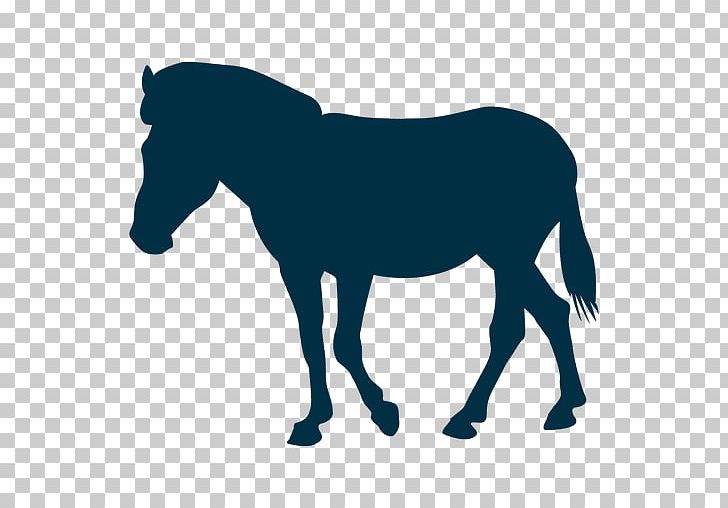 Horse PNG, Clipart, Animals, Bridle, Caballo, Colt, Download Free PNG Download