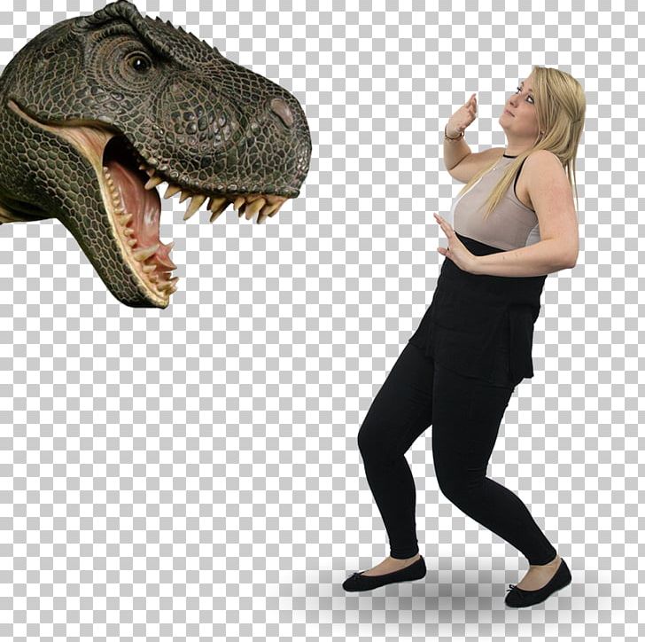 Tyrannosaurus Aggression Zara Emotion Sedgwick Claims Management Services PNG, Clipart, Aggression, Dinosaur, Emotion, Organism, Others Free PNG Download