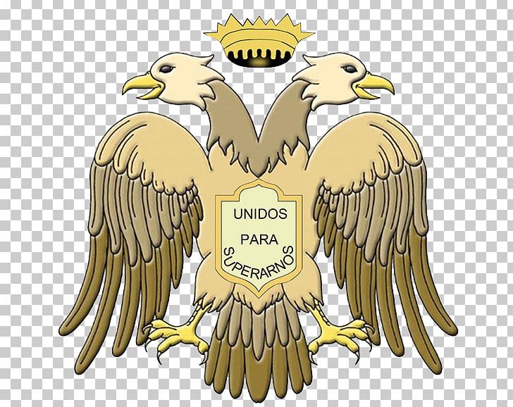 Bald Eagle Salamá Double-headed Eagle L'Aigle À Deux Têtes PNG, Clipart,  Free PNG Download