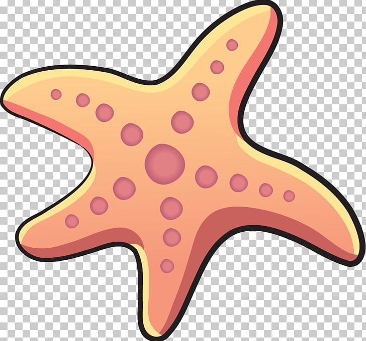 Starfish Cartoon PNG, Clipart, Android, Animals, Cartoon, Crownofthorns Starfish, Download Free PNG Download