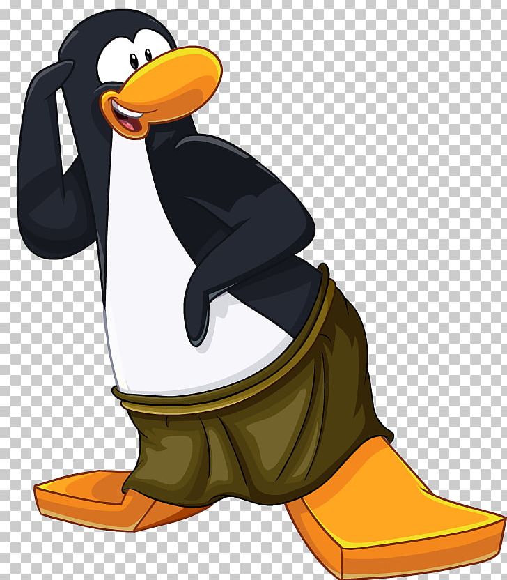 Club Penguin Igloo King Penguin Blog PNG, Clipart, Beak, Bird, Blog, Catalog, Club Penguin Free PNG Download