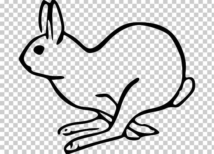 European Hare Rabbit PNG, Clipart, Black, Carnivoran, Cat Like Mammal, Dog Like Mammal, Hare Free PNG Download