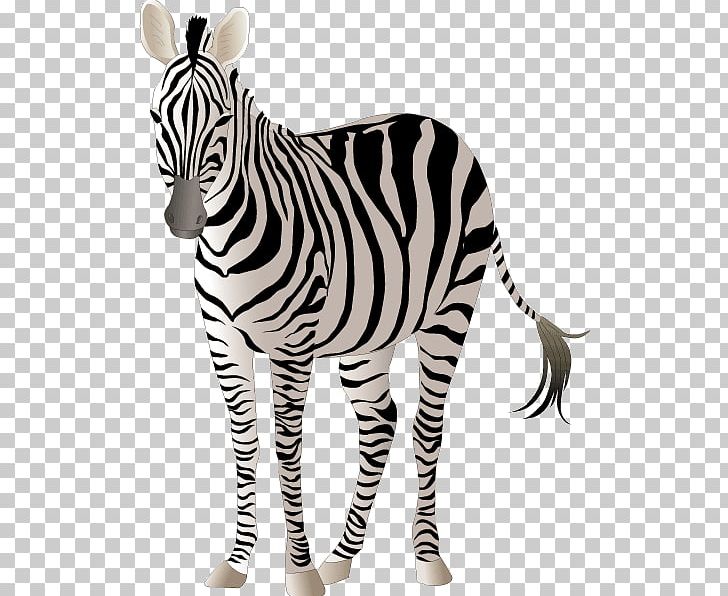 Quagga Horse Zebra PNG, Clipart, Animal, Animal Figure, Animals, Art, Big Cats Free PNG Download