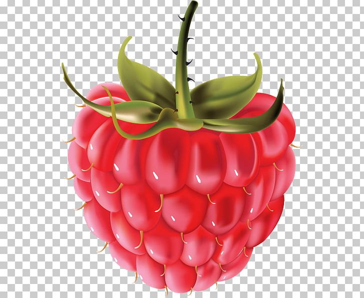 Raspberry Computer Icons PNG, Clipart, Accessory Fruit, Berry, Computer Icons, Download, Food Free PNG Download