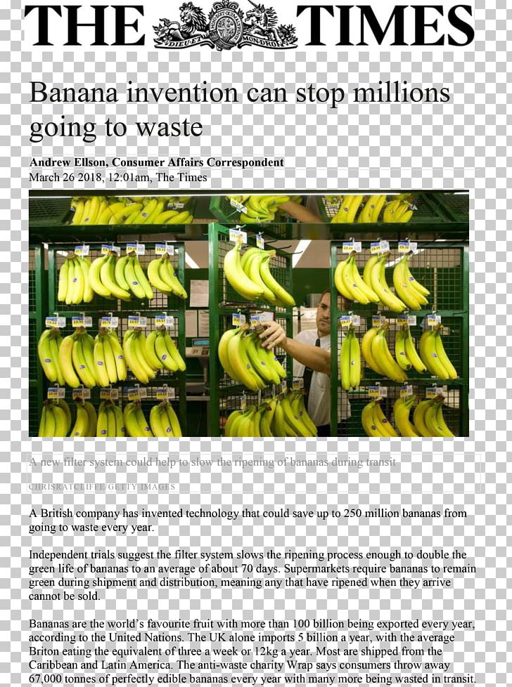 Banana Peel Invention United Kingdom Food PNG, Clipart, 2018, Banana, Banana Family, Banana Peel, Food Free PNG Download