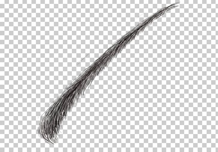 Eyebrow Hair Face PNG, Clipart, Black And White, Color, Dimple, Eye, Eyebrow Free PNG Download
