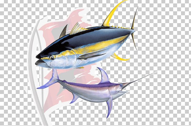 Yellowfin Tuna Sushi Atlantic Bluefin Tuna PNG, Clipart, Albacore, Bigeye Tuna, Bony Fish, Fin, Fish Free PNG Download