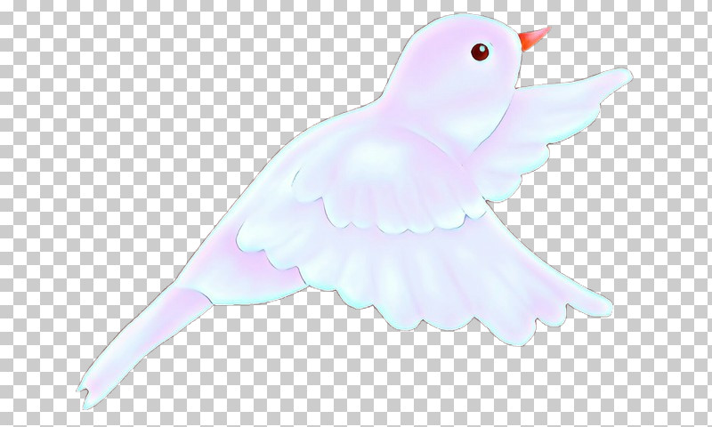 Feather PNG, Clipart, Beak, Bird, Feather, Pigeons And Doves, Pink Free PNG Download