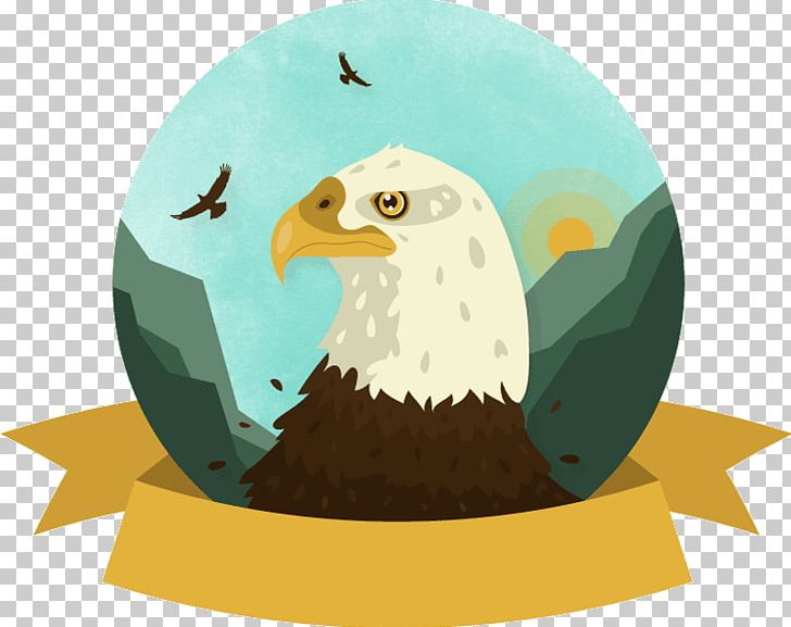 Bald Eagle White-tailed Eagle Bird PNG, Clipart, Animals, Bald, Bald Eagle, Beak, Bird Free PNG Download