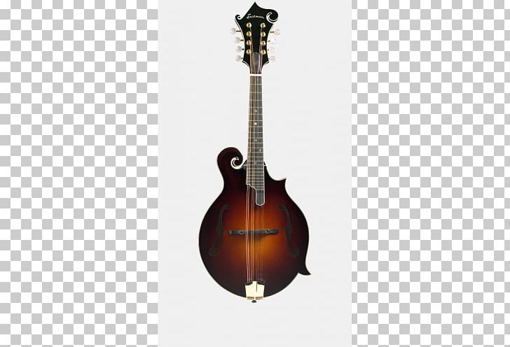 Electric Mandolin Sound Hole Musical Instruments Tonewood PNG, Clipart, Acoustic Electric Guitar, Bass Guitar, Electric Mandolin, Family, Fingerboard Free PNG Download
