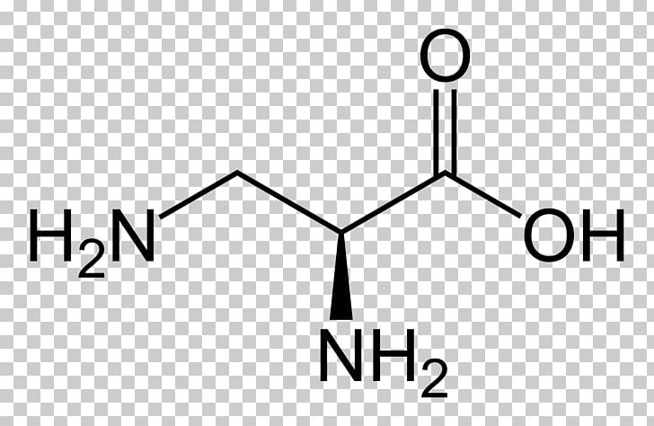 Essential Amino Acid Aspartic Acid Taurine PNG, Clipart, Acid, Amine, Amino Acid, Angle, Area Free PNG Download