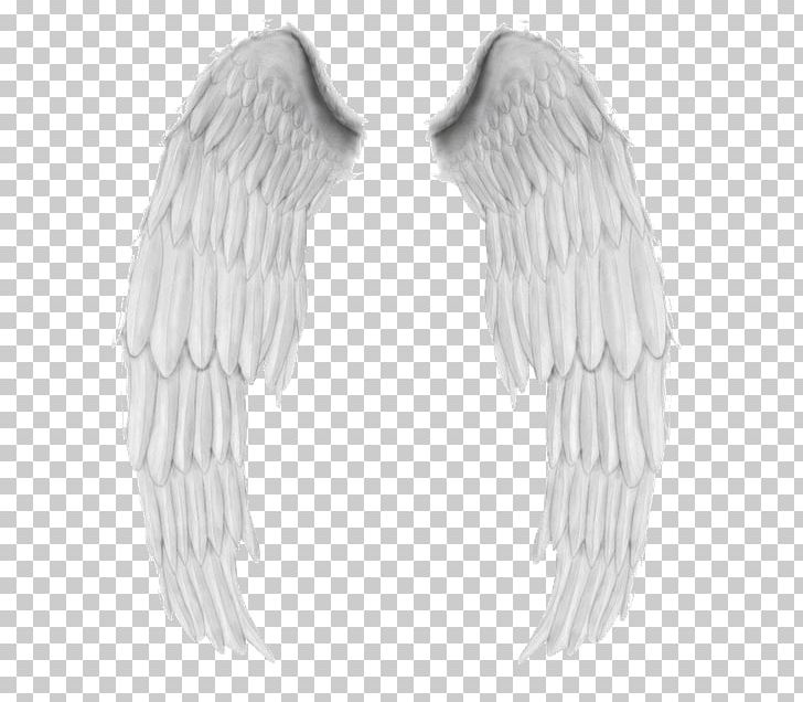 Photography Others Monochrome PNG, Clipart, Adobe After Effects, Angel, Asa De Anjo, Beak, Bird Of Prey Free PNG Download