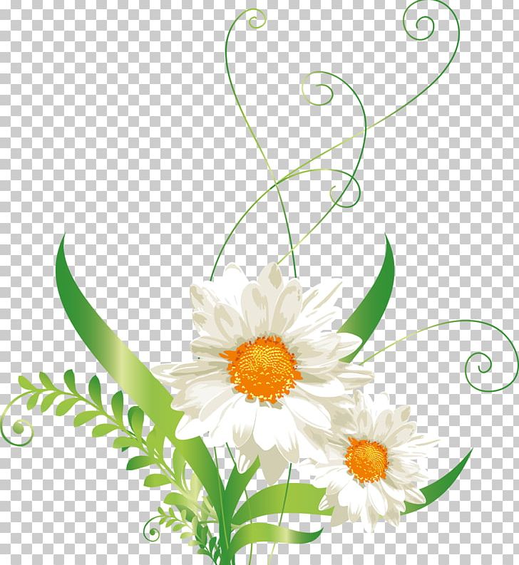 Raster Graphics PNG, Clipart, Chamaemelum Nobile, Chamomile, Computer Wallpaper, Coreldraw, Cut Flowers Free PNG Download
