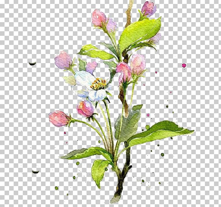 Flower Watercolor Painting Floral Design PNG, Clipart, Atmosphere, Autumn, Blossom, Branch, Cartoon Free PNG Download