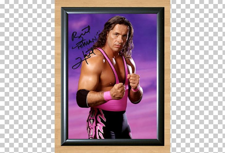 Hitman Hart: Wrestling With Shadows Montreal Screwjob Professional Wrestler Professional Wrestling PNG, Clipart, Arm, Autograph, Boxing Glove, Bret Hart, Certificate Free PNG Download